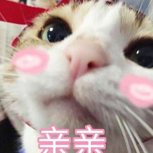 cos西施裸体自慰无遮挡
